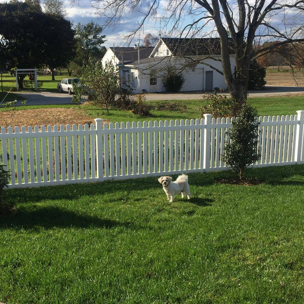 Weatherables Provincetown 3 ft. H x 8 ft. W White Vinyl Picket Fence Panel Kit PWPI-3NR-3X8