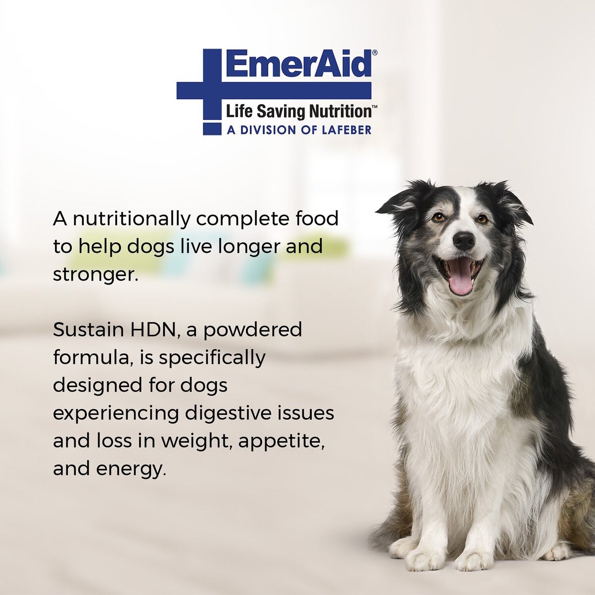 Lafeber EmerAid Sustain HDN Senior Dog Food