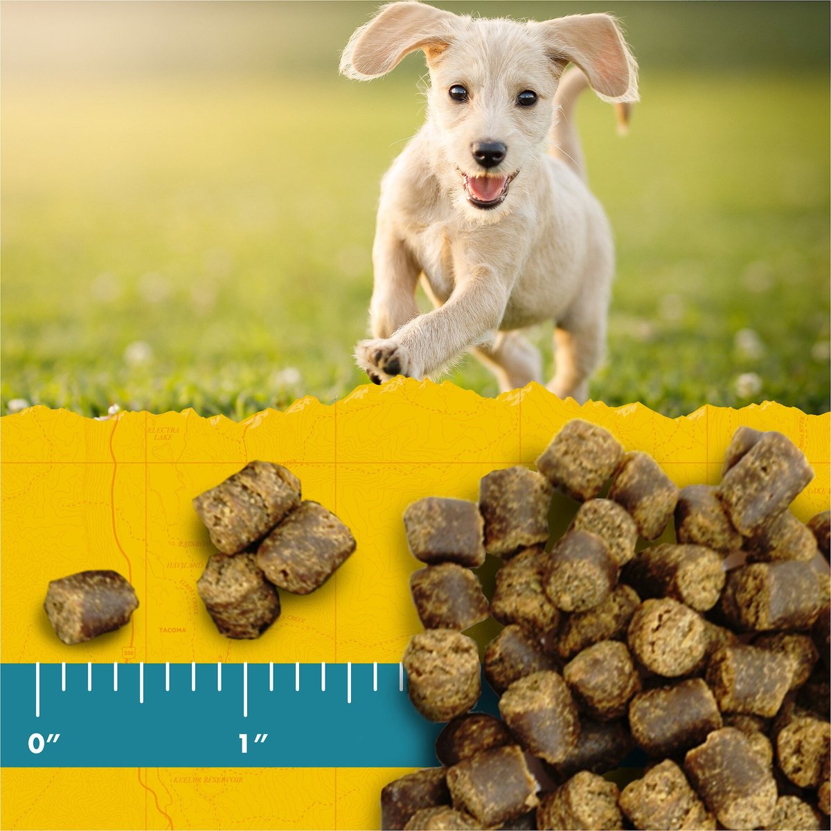 Zuke's Puppy Naturals Pork and Chickpea Recipe Grain-Free Dog Treats