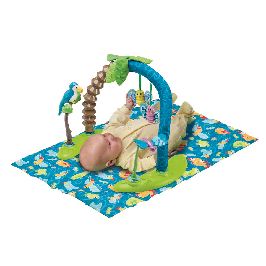 Life In The Amazon Triple Fun Bouncing Activity Saucer