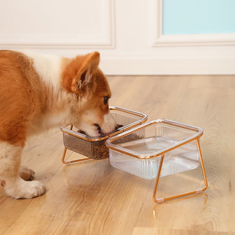 Ptlom Pet Food Bowls with Stainless Stands, Basic Dogs Cats Elevated Feeding Bowl Set