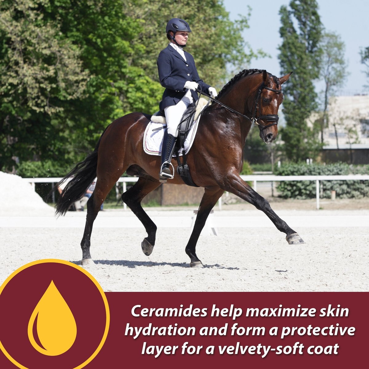 Farnam Laser Sheen Skin and Coat Horse Supplement