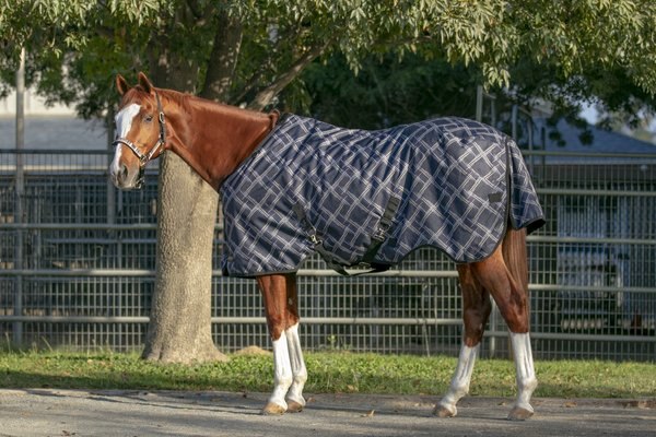 Kensington Protective Products Signature Heavy Weight Horse Turnout Blanket