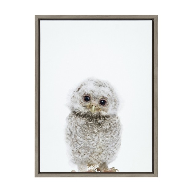 X 24 quot Sylvie Animal Studio Owl Framed Canvas By Amy Peterson Art Studio Gray Kate amp Laurel All Things Decor