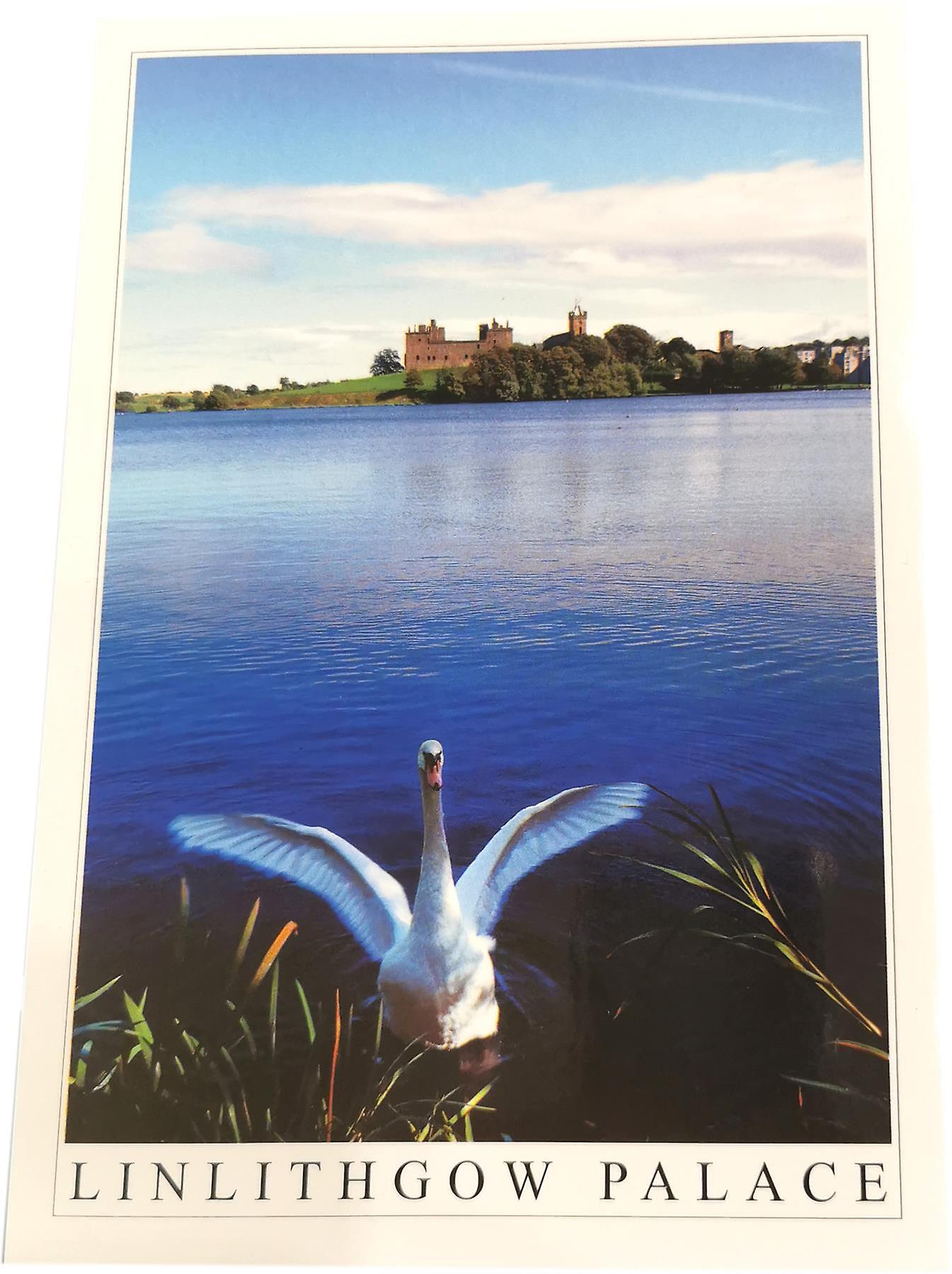 Linlithgow Palace， Swan Postcard by Stirling Gallery