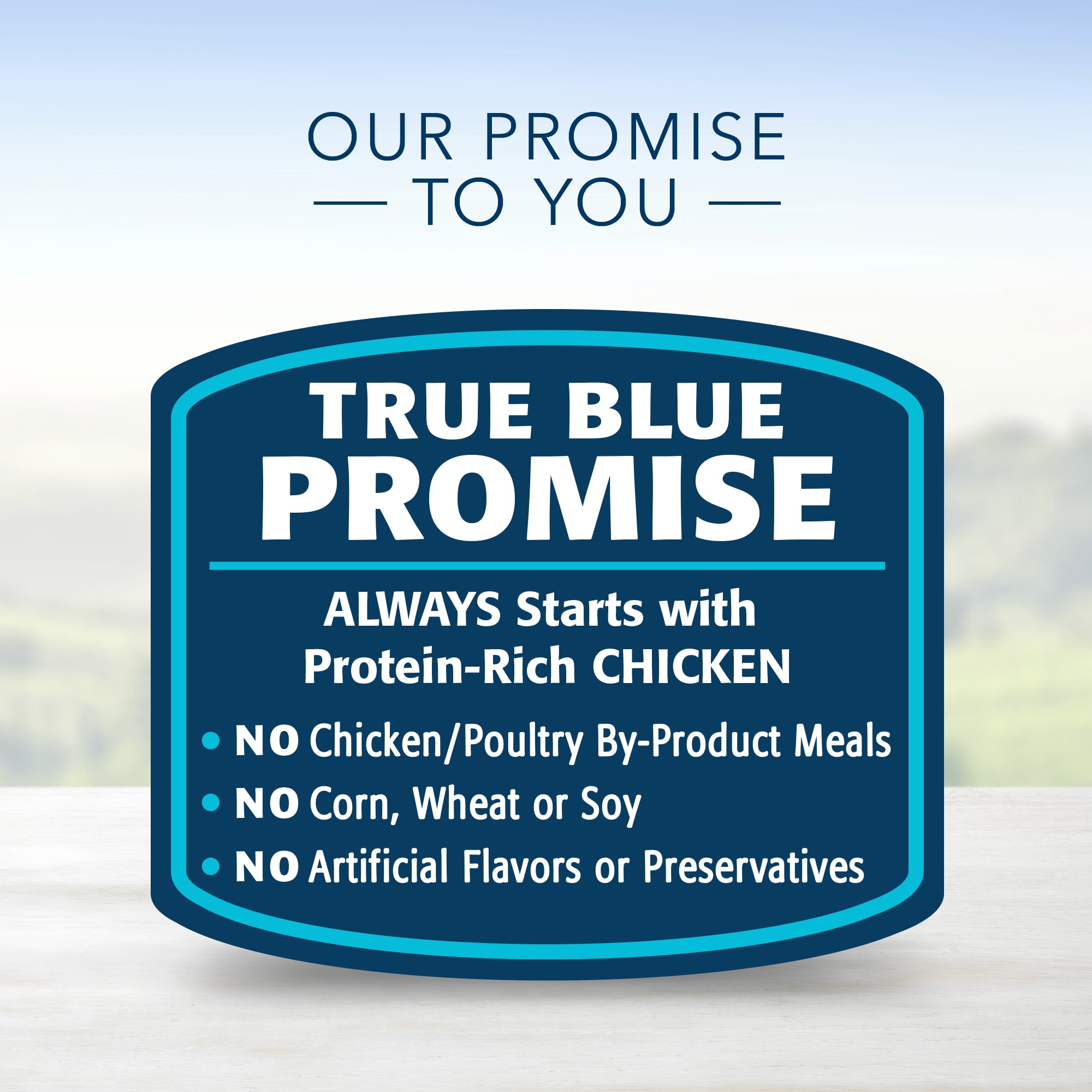 Blue Buffalo Blue Life Protection Delights Small Breed Roasted Chicken Flavor in Hearty Gravy Wet Dog Food， 3.5 oz.， Case of 12