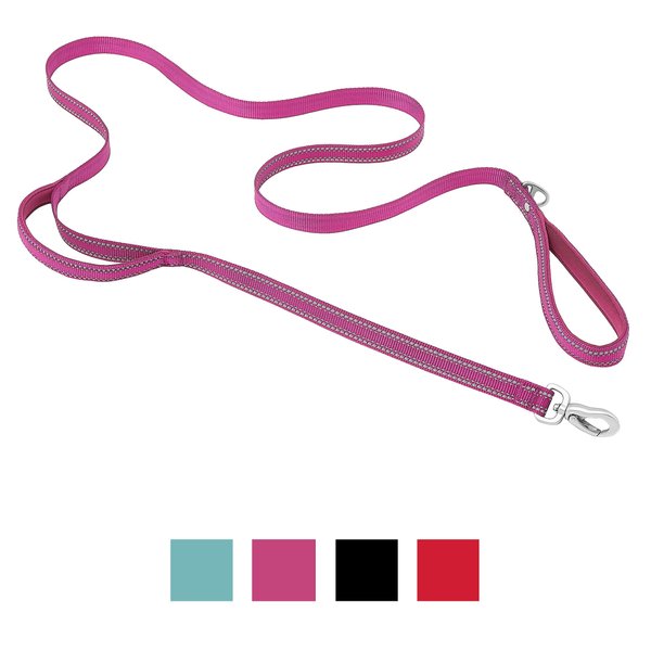 Frisco Outdoor Nylon Reflective Comfort Padded Dog Leash