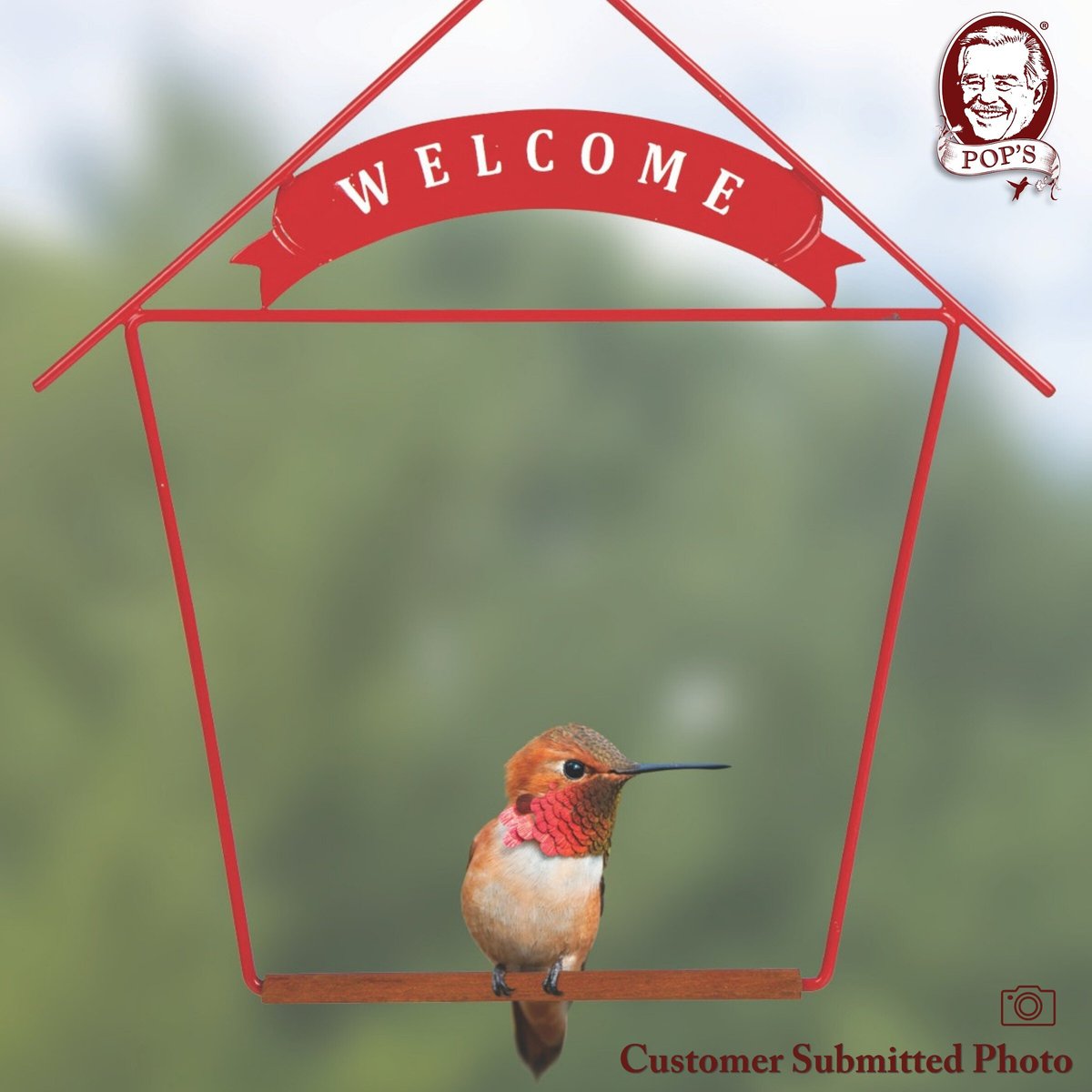 Pop's Birding Company The Original Hummingbird Swing Welcome Bird Swing