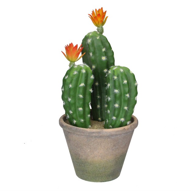 Green Flowering Column Cactus In A Ceramic Pot With Flowers