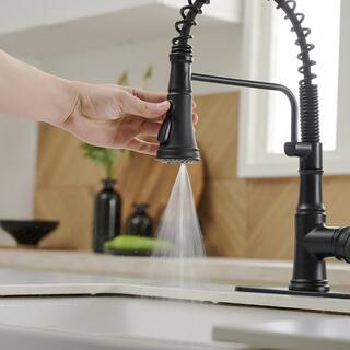 BWE Single-Handle Pull-Down Sprayer 3 Spray High Arc Kitchen Faucet With Deck Plate in Matte Black A-94559-B