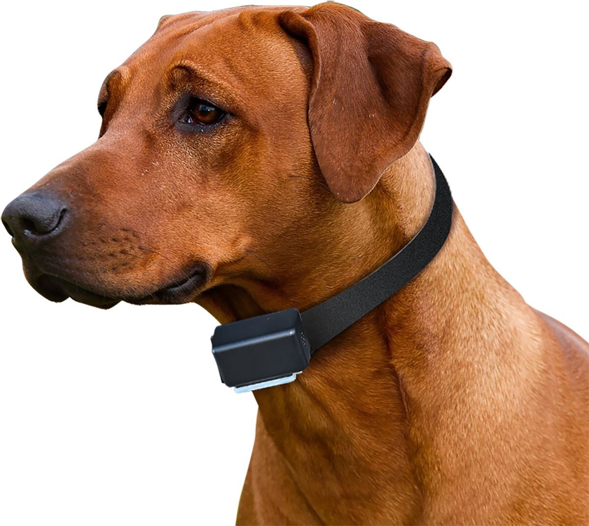 High Tech Pet Products ET-1 \