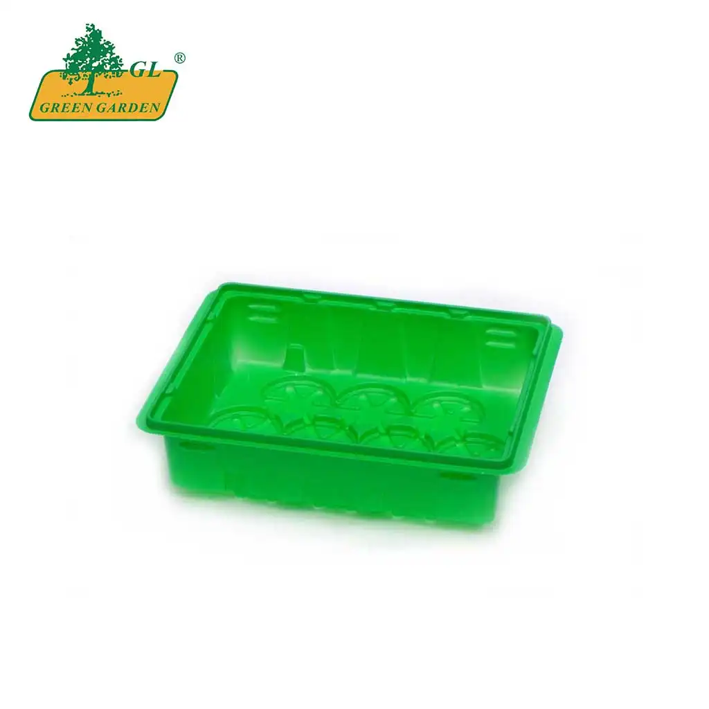 From Factory Hydroponic Plastic Seed Tray Propagation Plant Agricultural Plastic Plant Seedling Tray