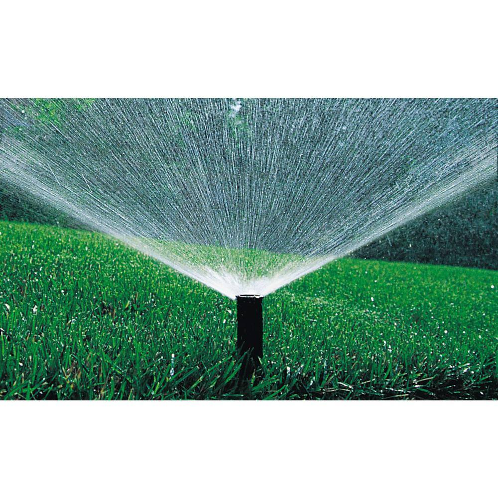 Rain Bird 1800 Series 3 in. Dual Spray Half Circle PRS Sprinkler 1803HDSPRS