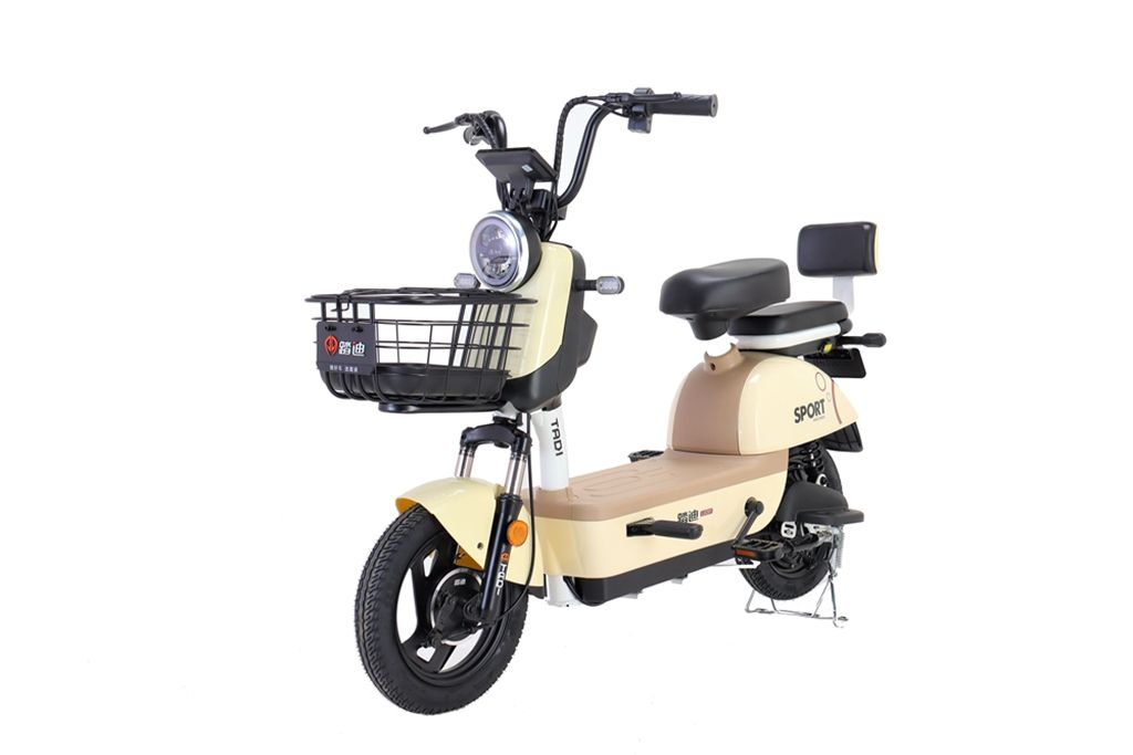 High Quality Exquisite Durable Motor Full Suspension Sport Bike Electric Cycle