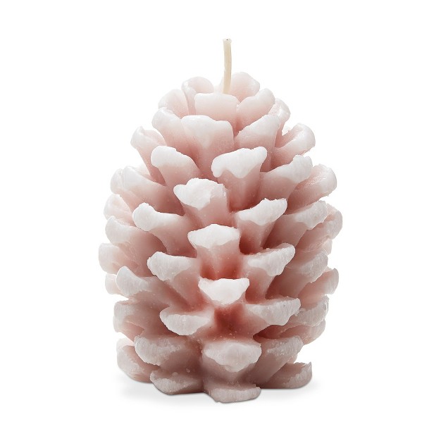 Tag Frosted Pine Cone Candle Blush