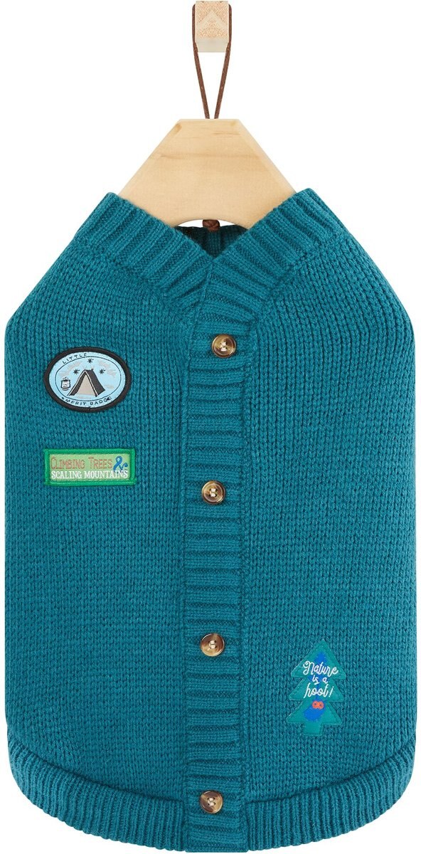 Frisco Teal Button Down Dog and Cat Sweater