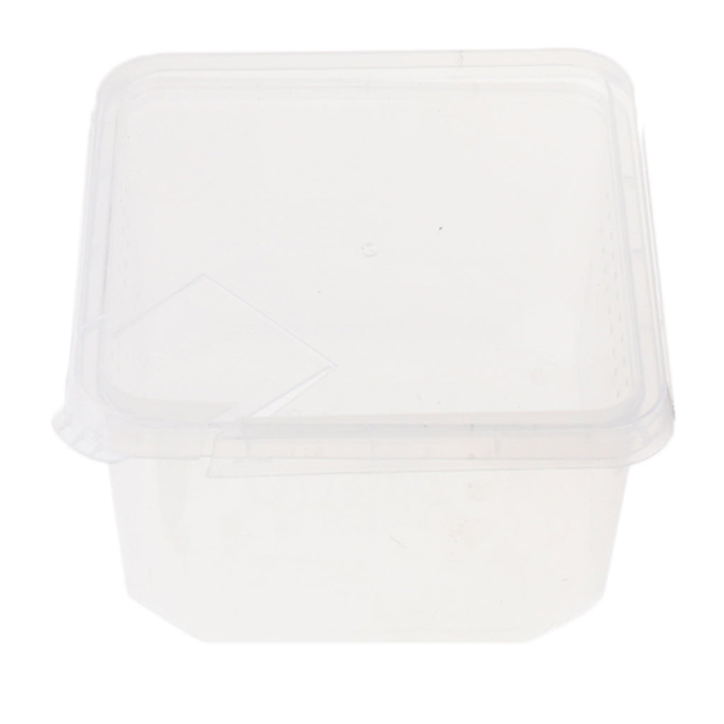 Spider Habitat Feeding Breeding Box Case Container 12x12x7cm