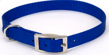 Coastal Pet Products Standard Nylon Small and Medium Dog Collar andndash; Pet Empire and Supplies