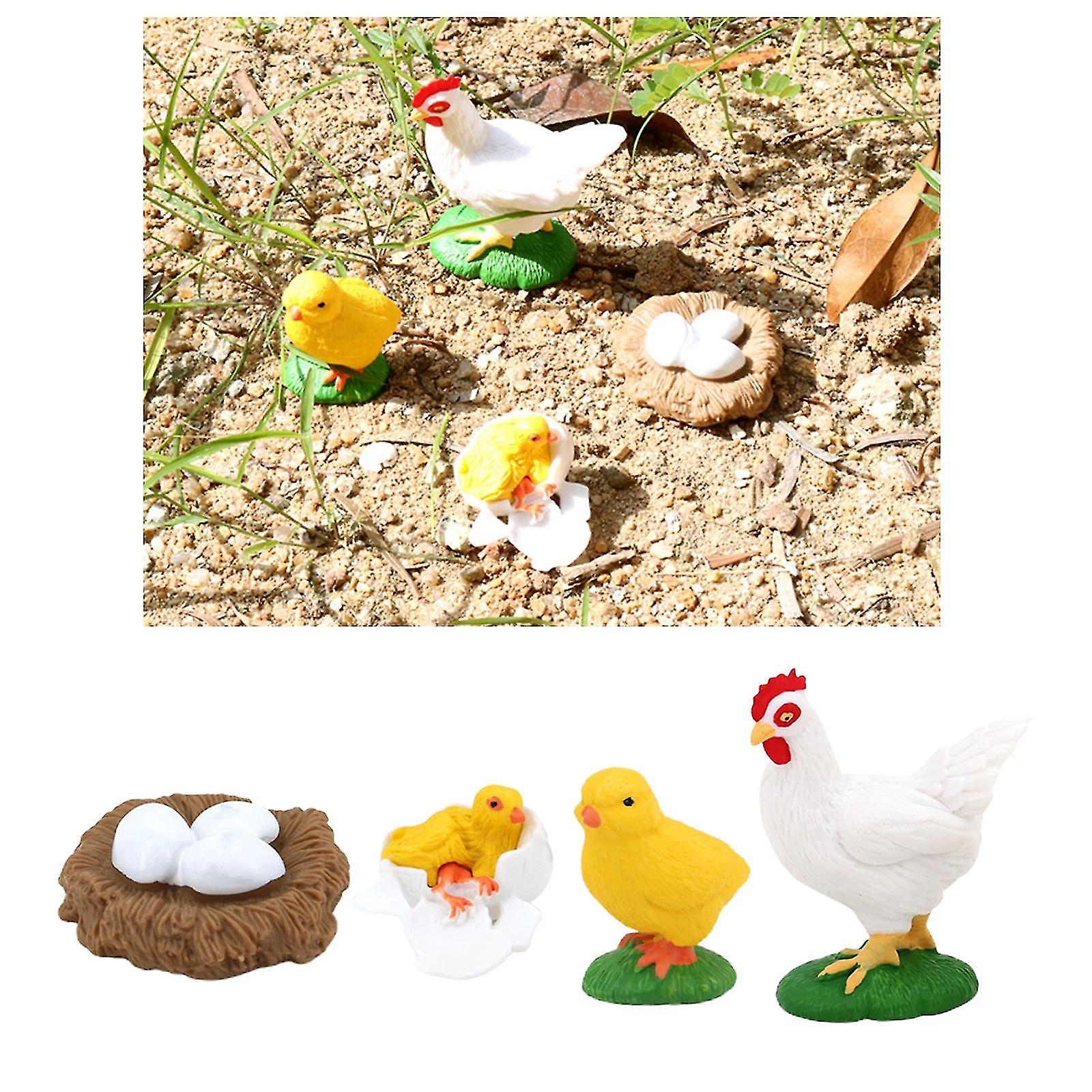 Plastic Kids Insect Hen Growth Cycle Early Education Toys Themed Party