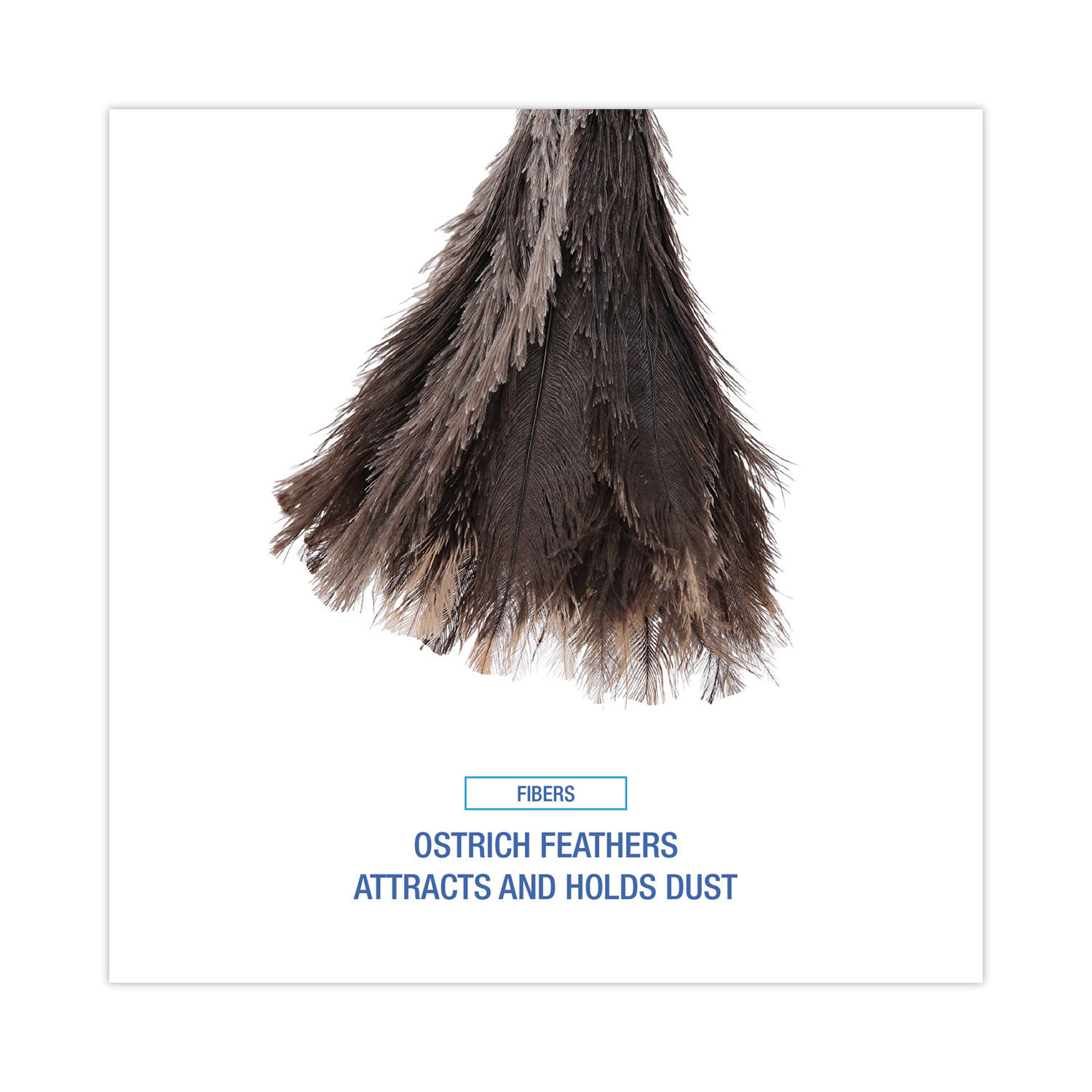 Professional Ostrich Feather Duster by Boardwalkandreg; BWK23FD
