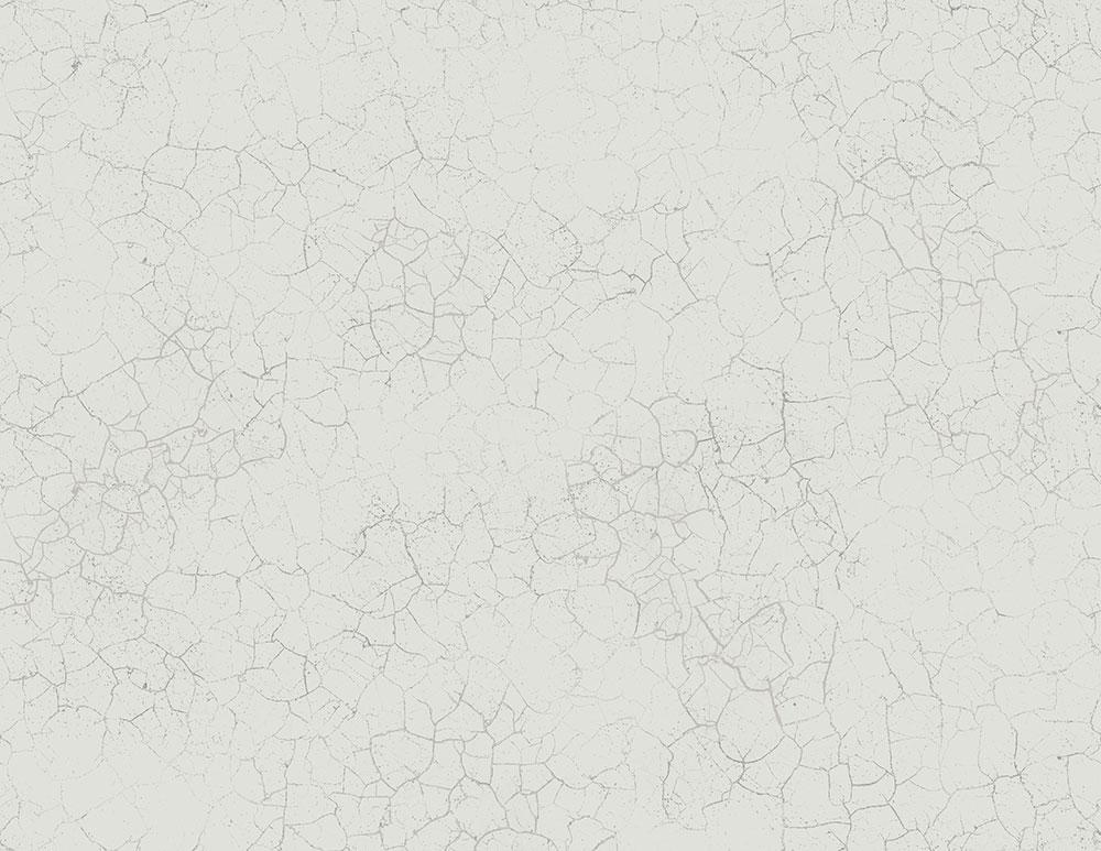 Alchemy Wallpaper in Silver, Grey, and Cream from the Transition Collection