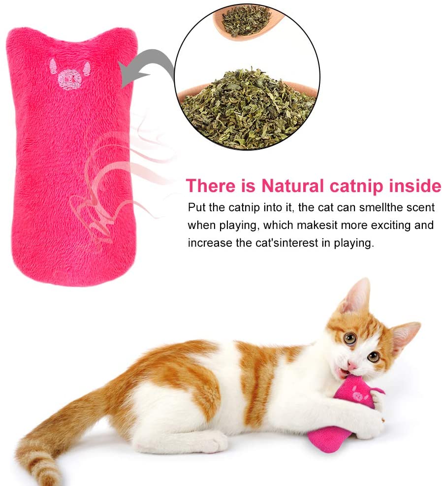 Legendog 5Pcs Cat Chew Toy Bite Resistant Catnip Toys for Cats，Catnip Filled Cartoon Mice Cat Teething Chew Toy