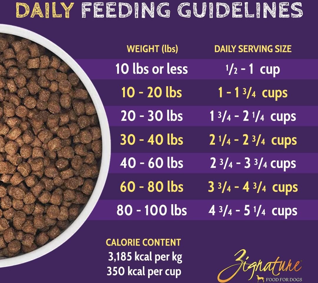 Zignature Turkey Formula Small Bites Dry Dog Food