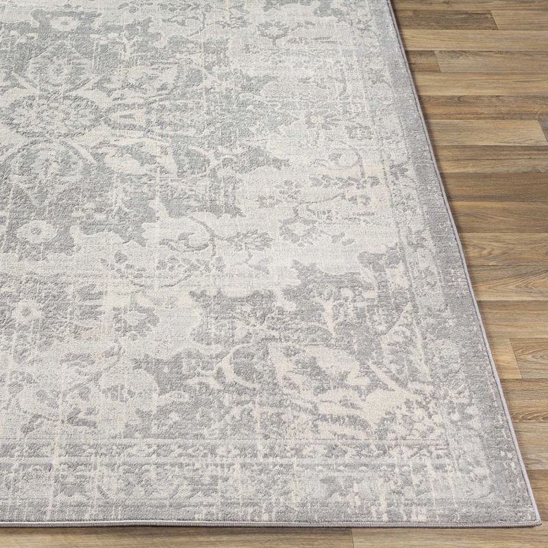 Clichy Traditional Area Rug