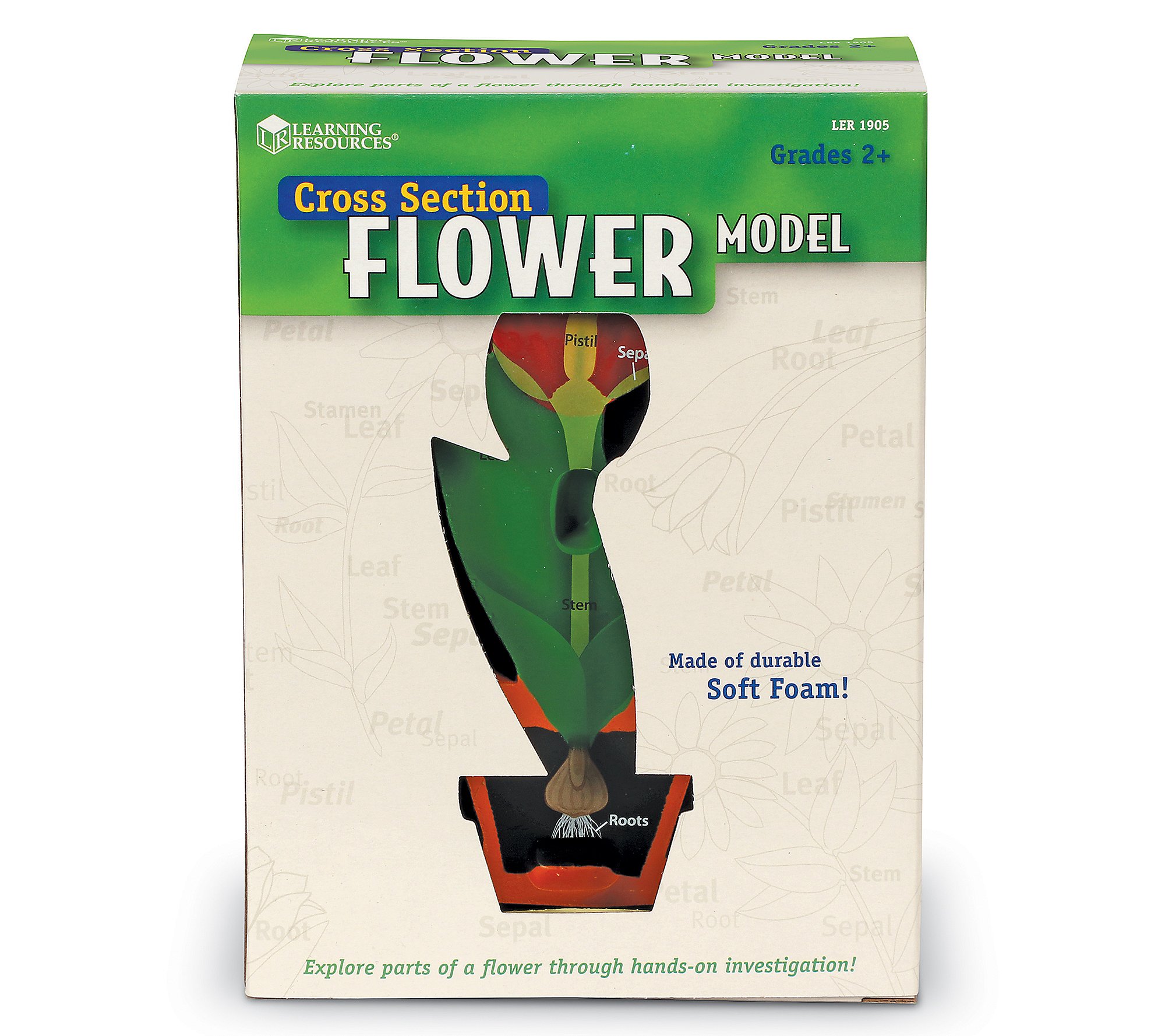 Learning Resources Cross-Section Flower Model Toy