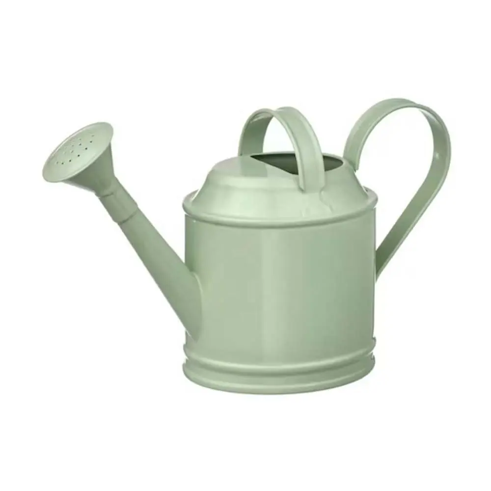 Buy Decorative Metal Watering Can with Handle Indoor Outdoor Pot for Home Gardening Plants Watering Hand Painted pure handmade