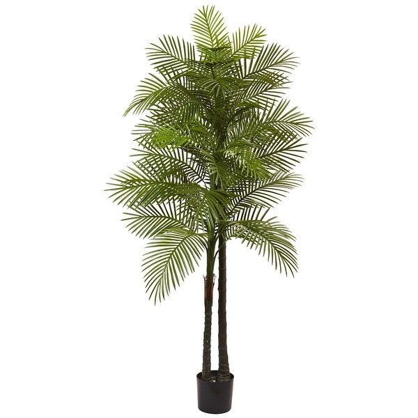 Double Robellini Palm Tree UV Resistant (Indoor/Outdoor)