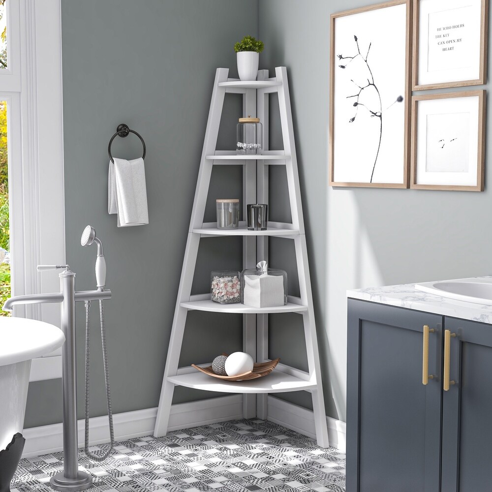 Kiki Transitional 5 Tier Corner Ladder Display Bookshelf by Furniture of America