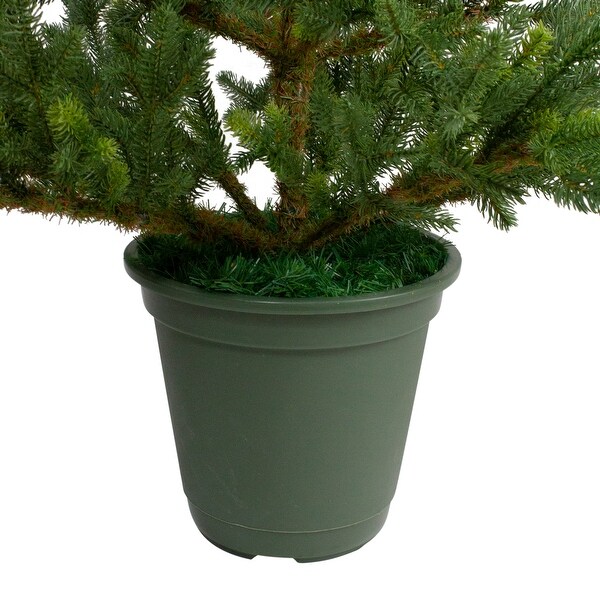 6' Potted Noble Pine Slim Artificial Christmas Tree