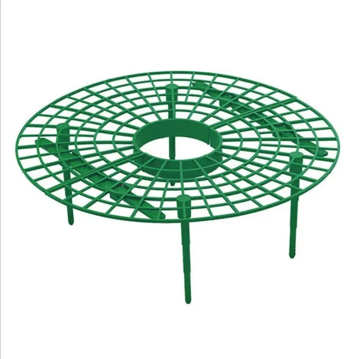 Strawberry Growing Rack Plastic Strawberry Support  Fruit Strawberry Stand Plant Climbing