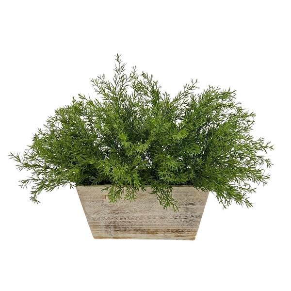 Faux Asparagus Fern in Wood Mini Ledge Planter