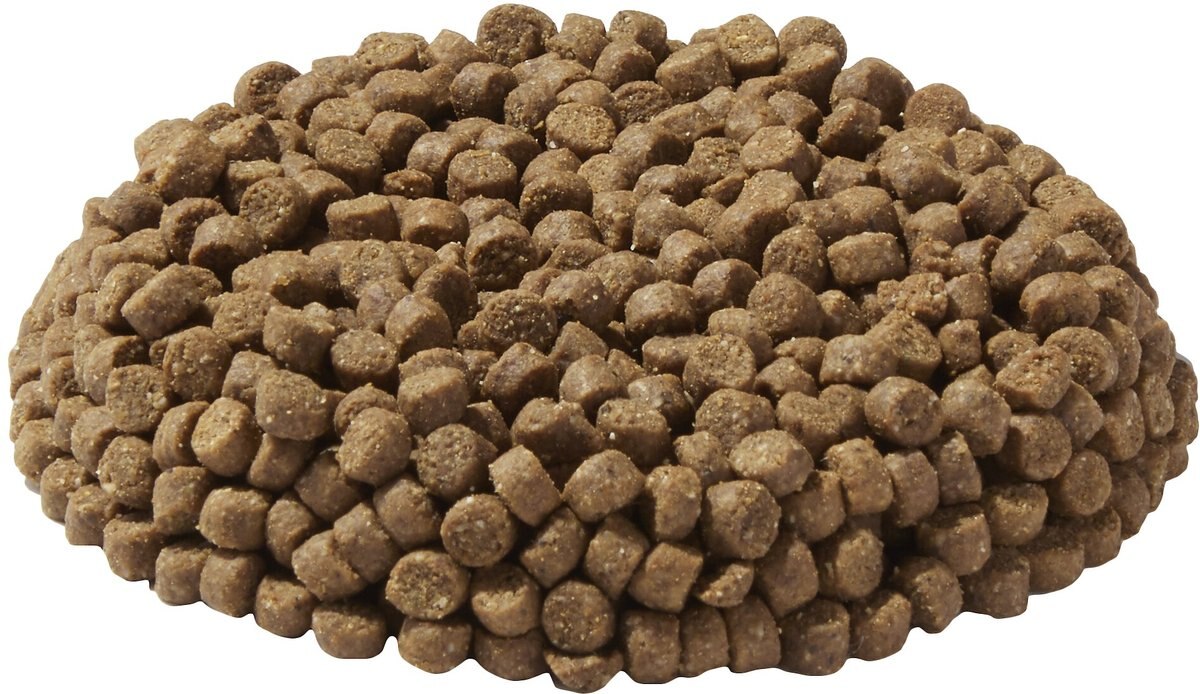 Wysong Senior Dry Dog Food