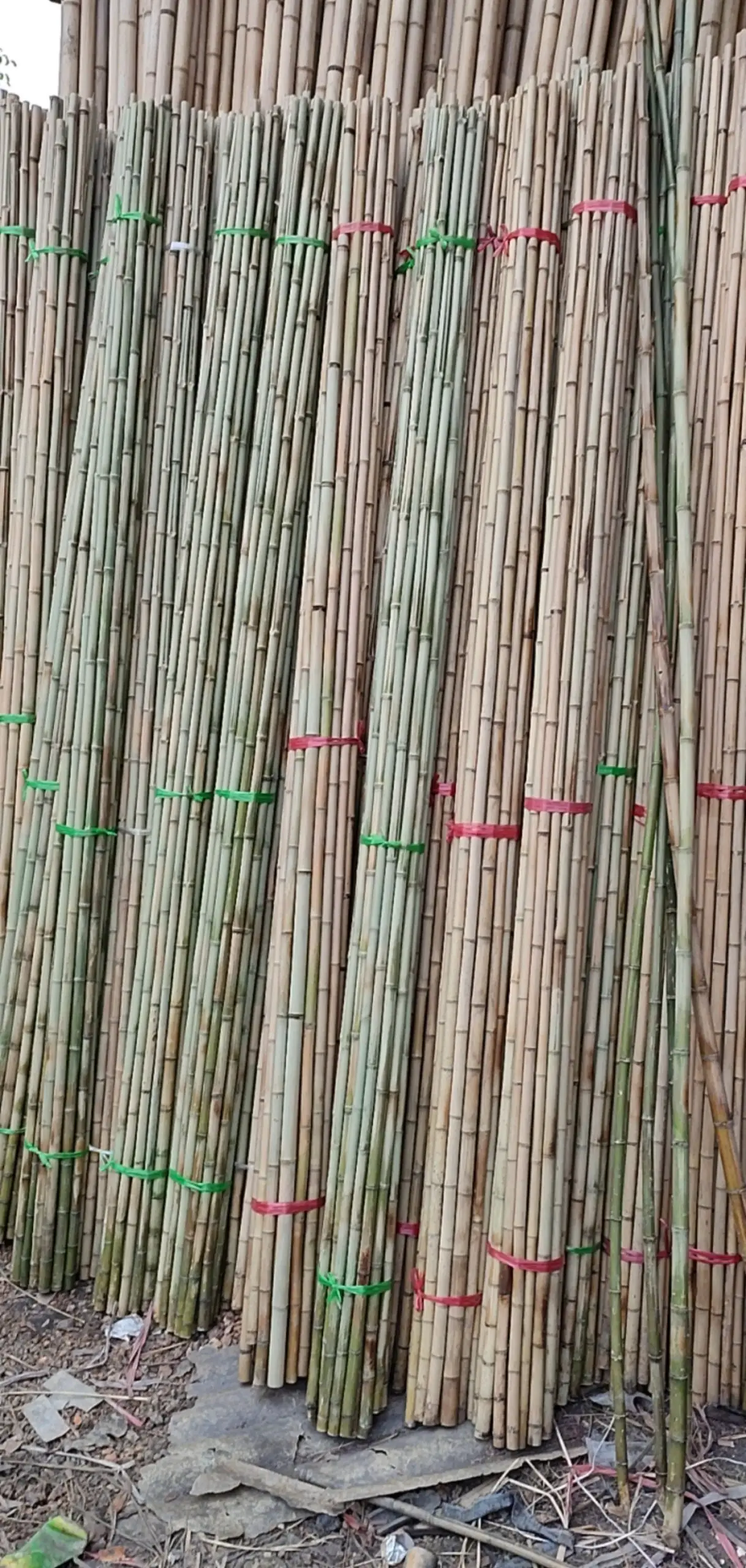 100% Natural Bamboo Poles Vietnam Bamboo Canes for Sale in Large Quantities Bamboo Canes for Garden Supplies