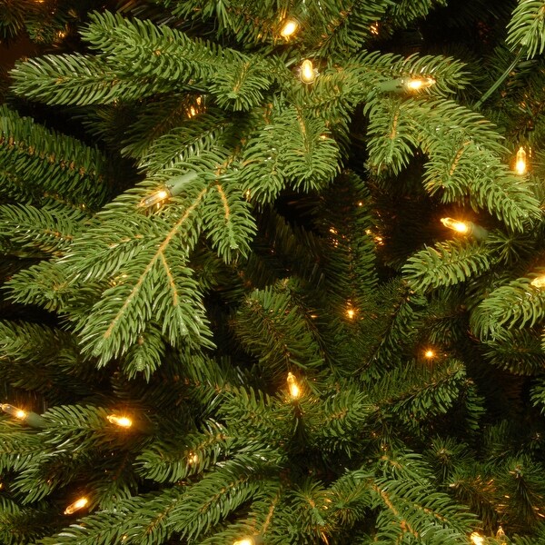 National Tree Company 9 ft. PowerConnect Princeton Fraser Fir with Dual Color LED Lights