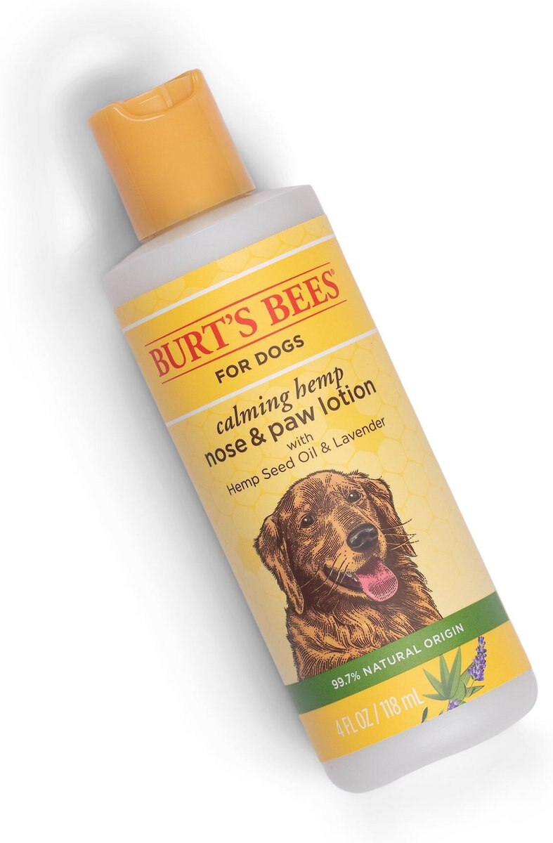 Burt's Bees Calming Hemp Paw and Nose Lotion Dog， 4-oz bottle