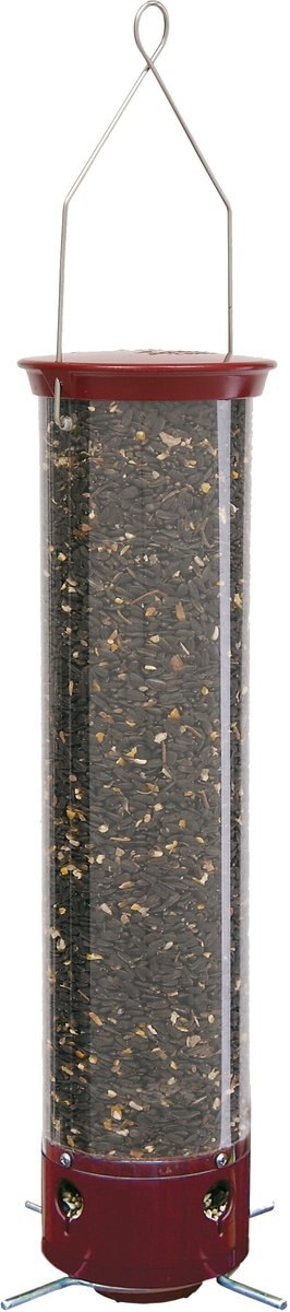 Droll Yankees Yankee Dipper Collapsing Straight Perch Bird Feeder， 21-in