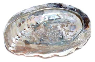 AzureGreen IBA7132 4 Abalone Shell incense burner...