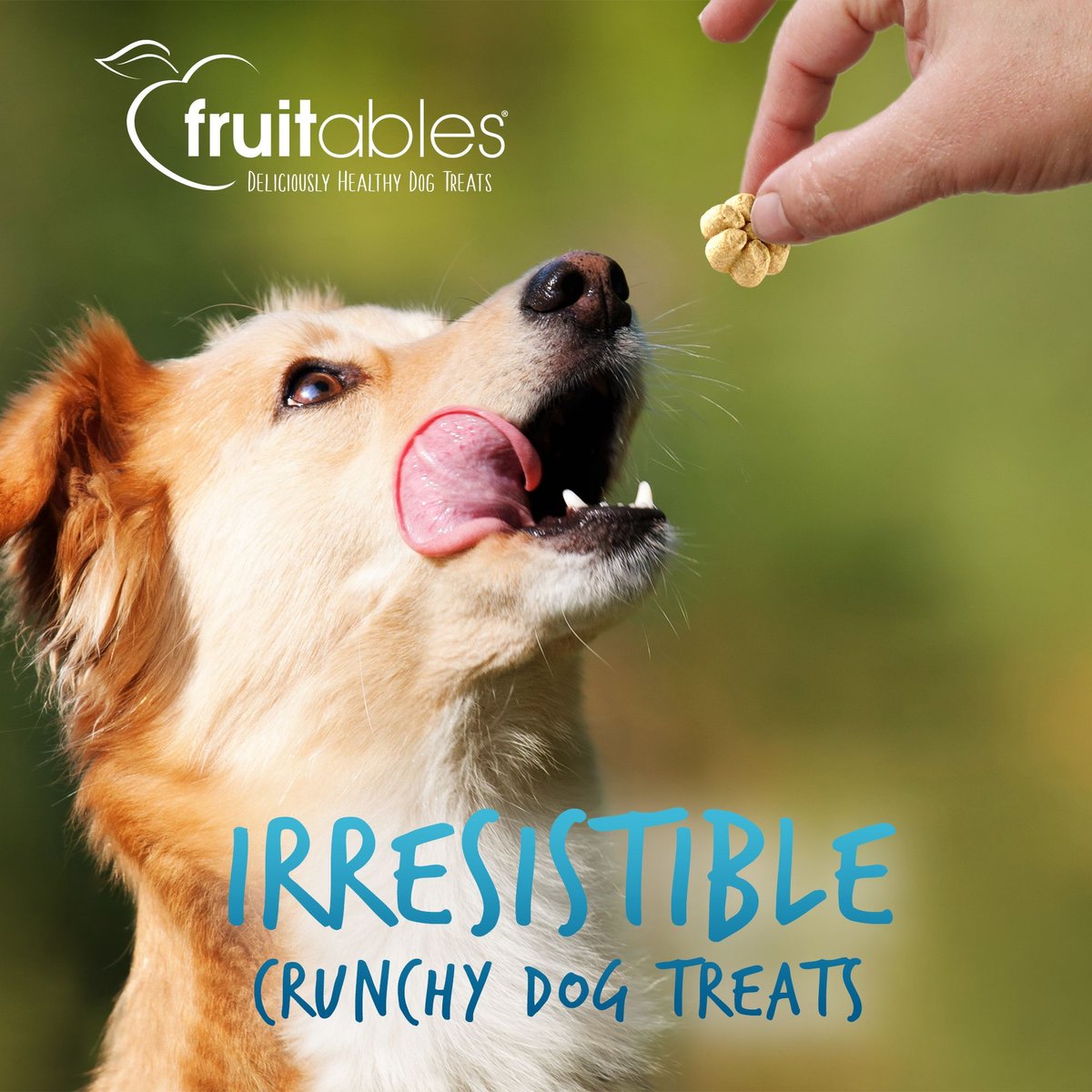 Fruitables Greek Vanilla Yogurt Flavor Crunchy Dog Treats