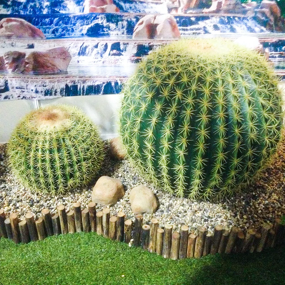 Globose Artifical Cactus Plant Garden Landscape Cactus Decorations Suppliers