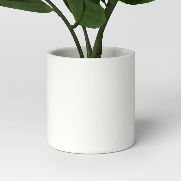 Small Tabletop Zz Artificial Plant