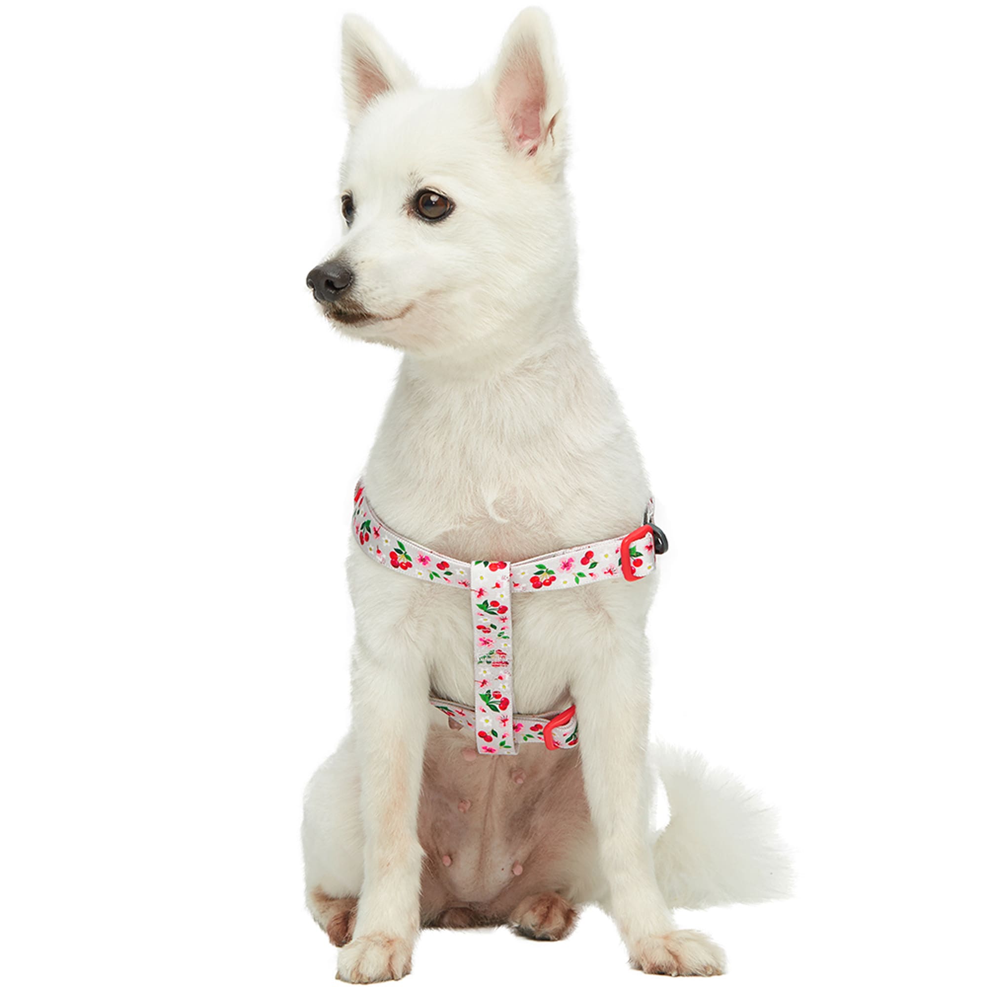 Blueberry Pet Grey Cherry Blossom Adjustable Step-in Dog Harness， Small