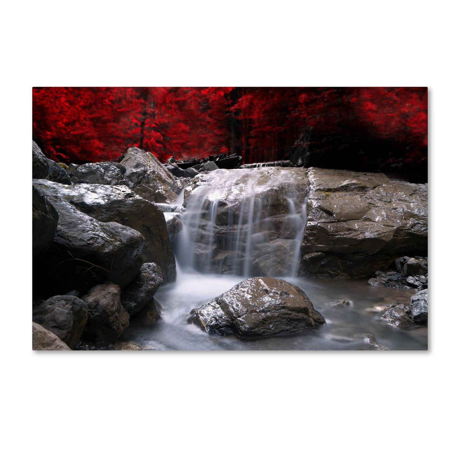 Trademark Fine Art 1621524 Landscape Canvas Wall Art 8216Red Vison8217 by Philippe SainteLaudy  Crowdfused