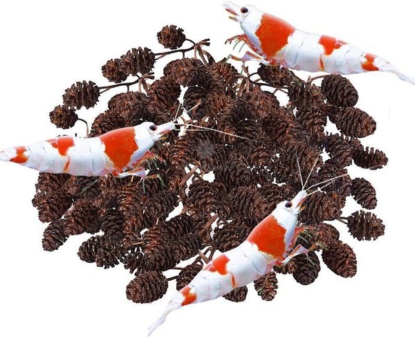 SunGrow Shrimp Breeding Aquarium Tank Water Conditioner and Food Alder Cones， 50 count