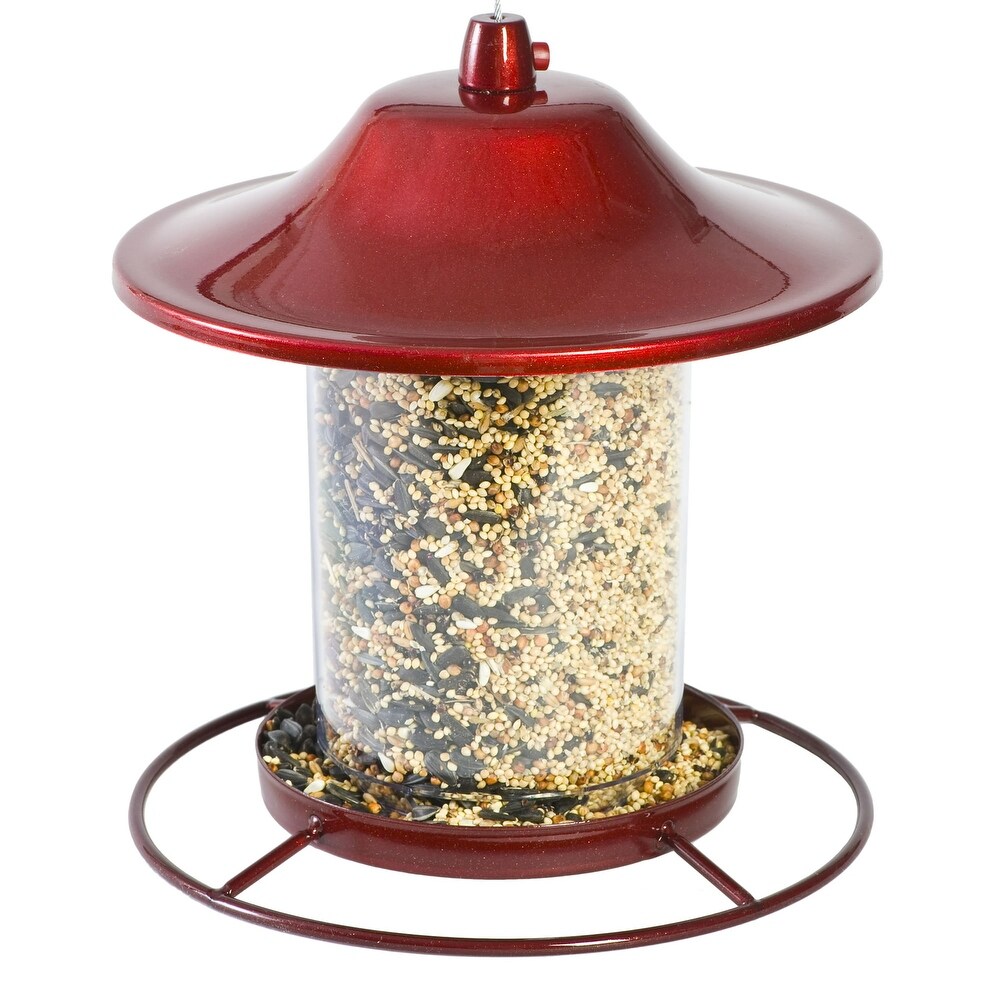 2 lb Small Panorama Wild Bird Feeder