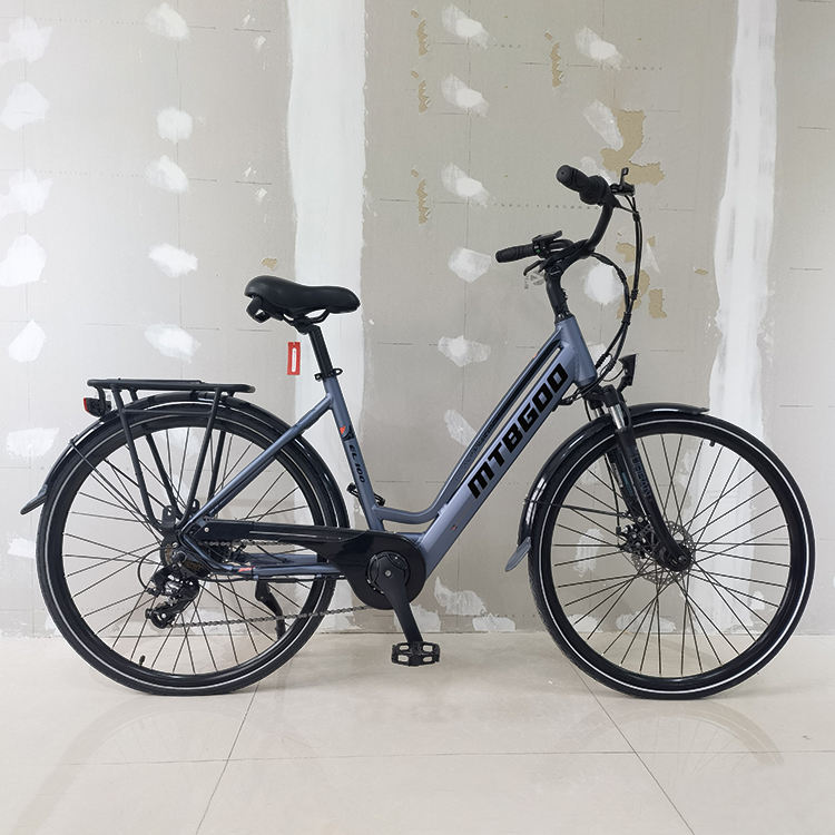 Online hot selling 26 inch 36V 250w motor aluminum alloy frame street use 7 speed grey color electric bike with LCD display