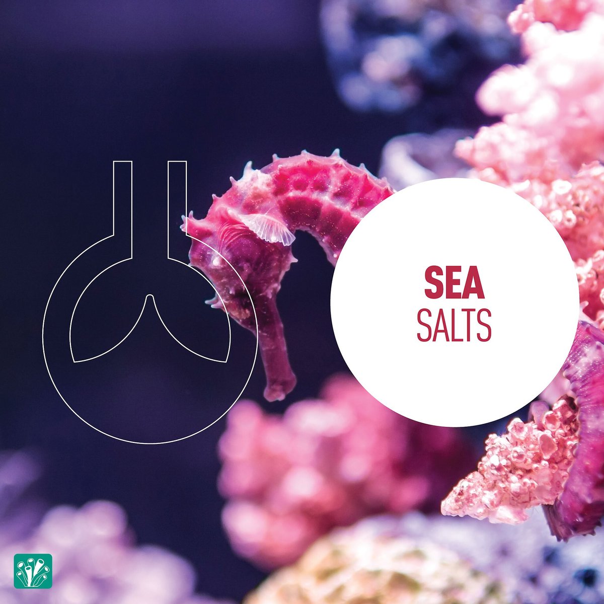 Reeflowers Caledonia Aquarium Sea Salt